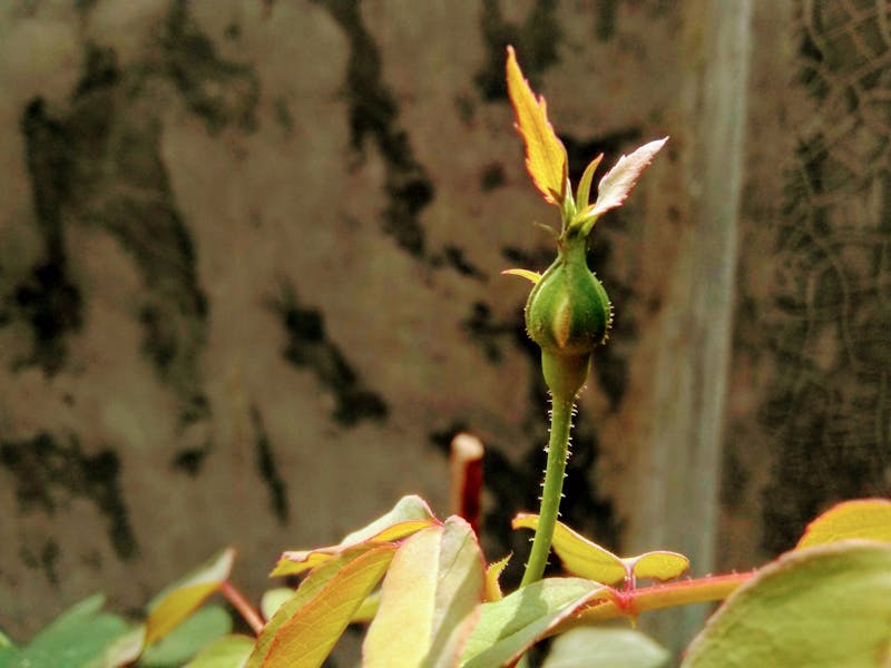 香港5G月費計劃邊間最抵2026:四大電訊商全面比較